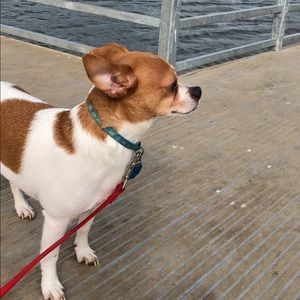 Meet your Posher, Alexis